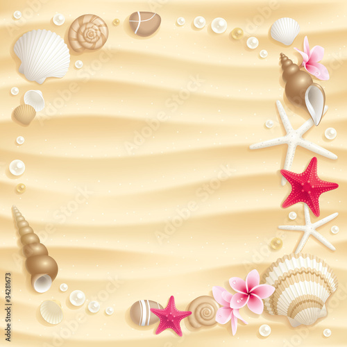 Seashell background