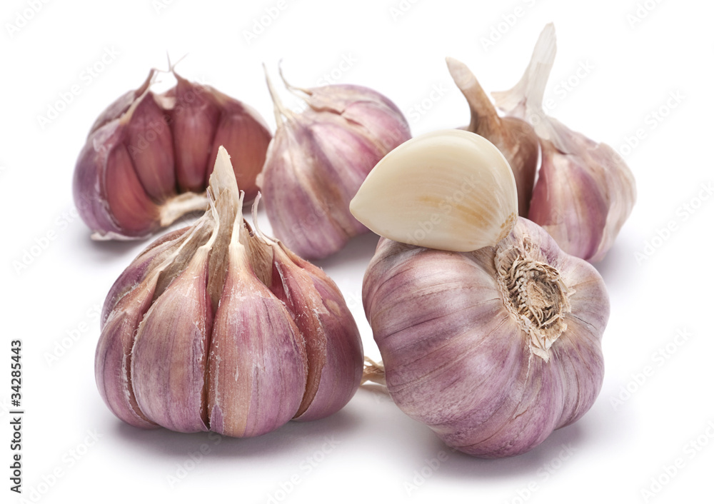 Obraz premium Garlic vegetable