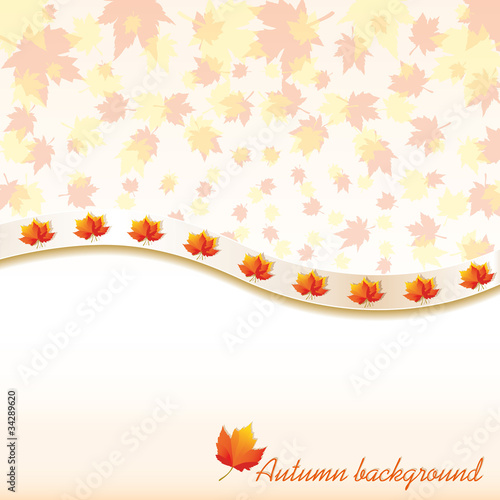 Autumn background with maple leaves  vector illustration