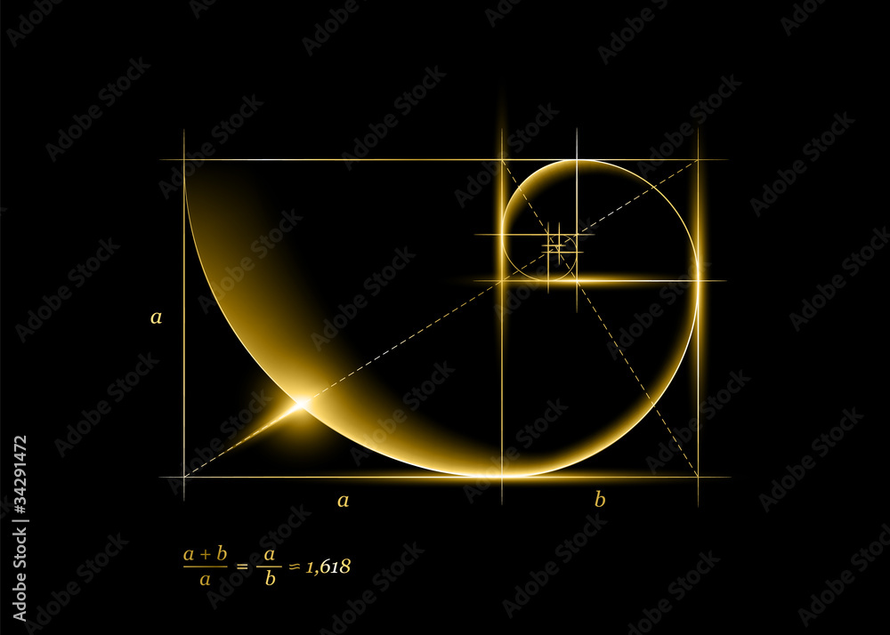 Fototapeta premium Złota sekcja (stosunek, boska proporcja) i złota spirala