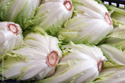 Salad - Lattuga - Ortaggi - verdure