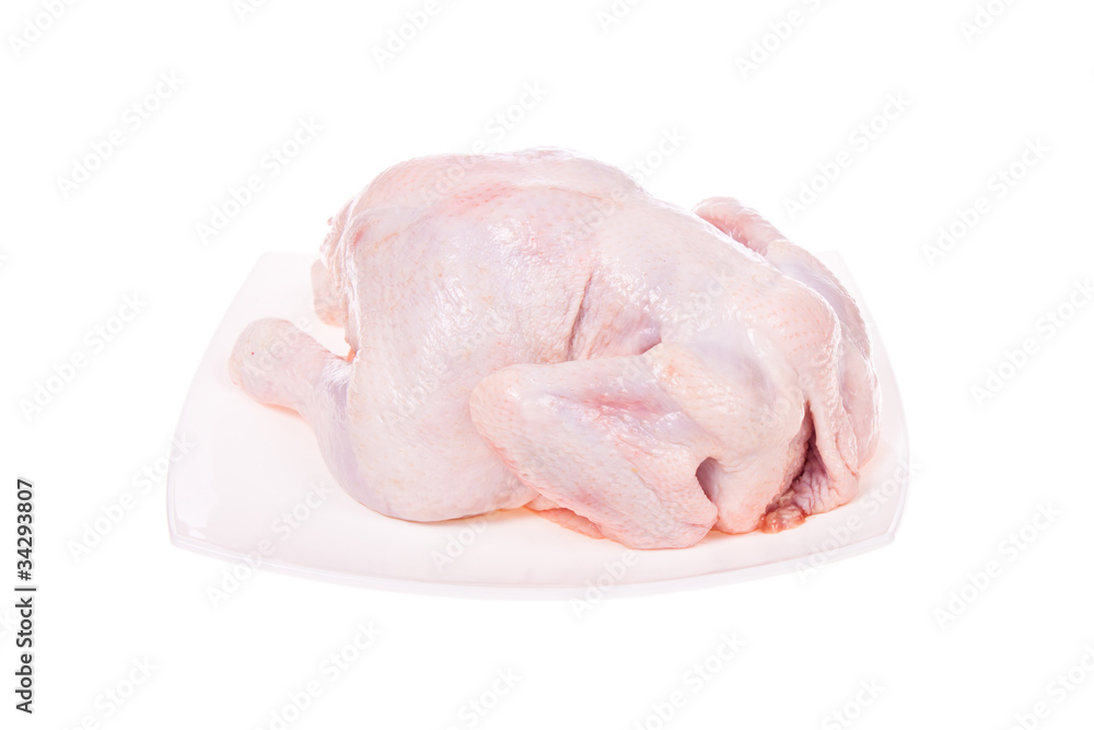 fresh chicken fresh chicken