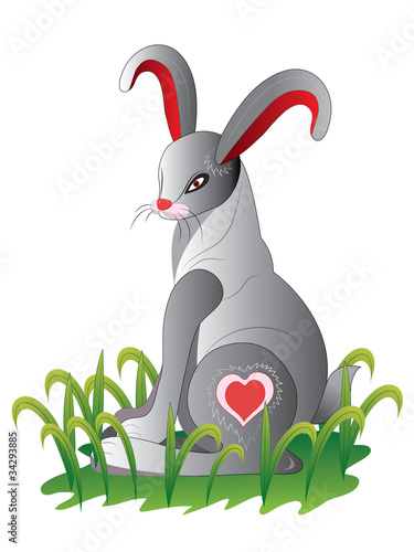 Rabbit in a grass.