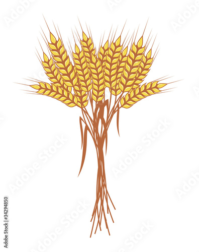 Wheat