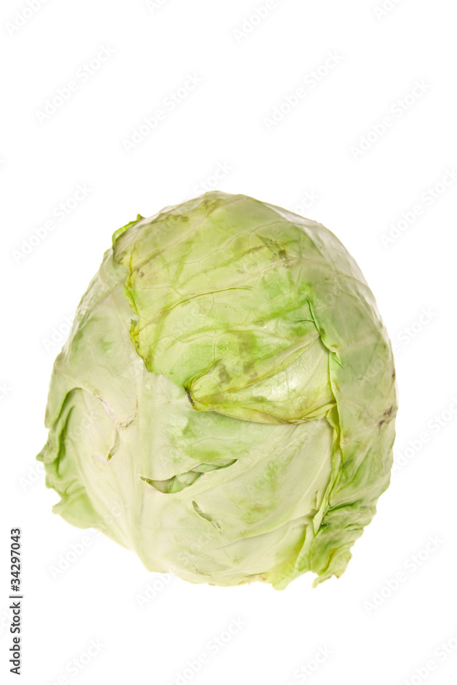 head of green cabbage vegetable isolated head of green cabbage vegetable isolated