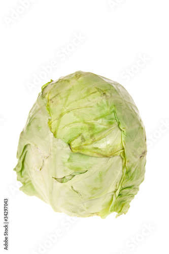 head of green cabbage vegetable isolated