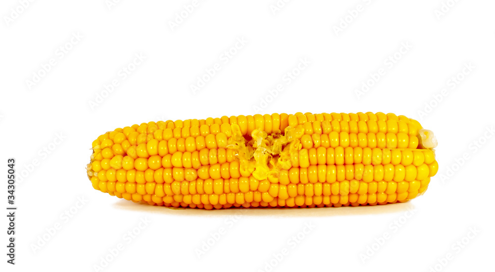 Cooked corn cob Cooked corn cob