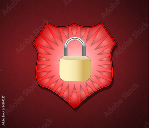 Shield with lock for security