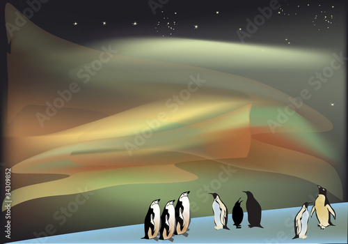 penguins under aurora illustration