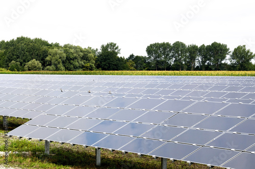 Solar Panels in the sun