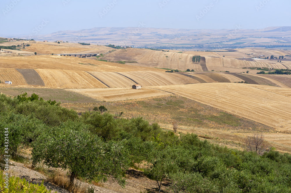 Obraz premium Landscape in Basilicata (Italy) near Melfi at summer