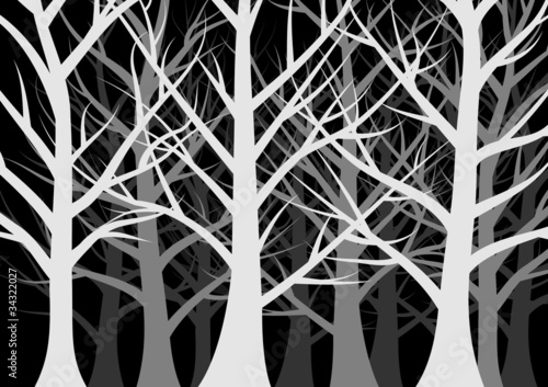 dark forest full of trees