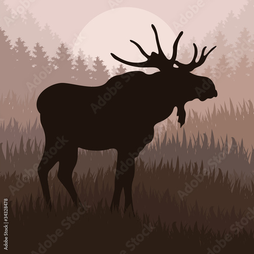 Animated moose in wild nature landscape illustration