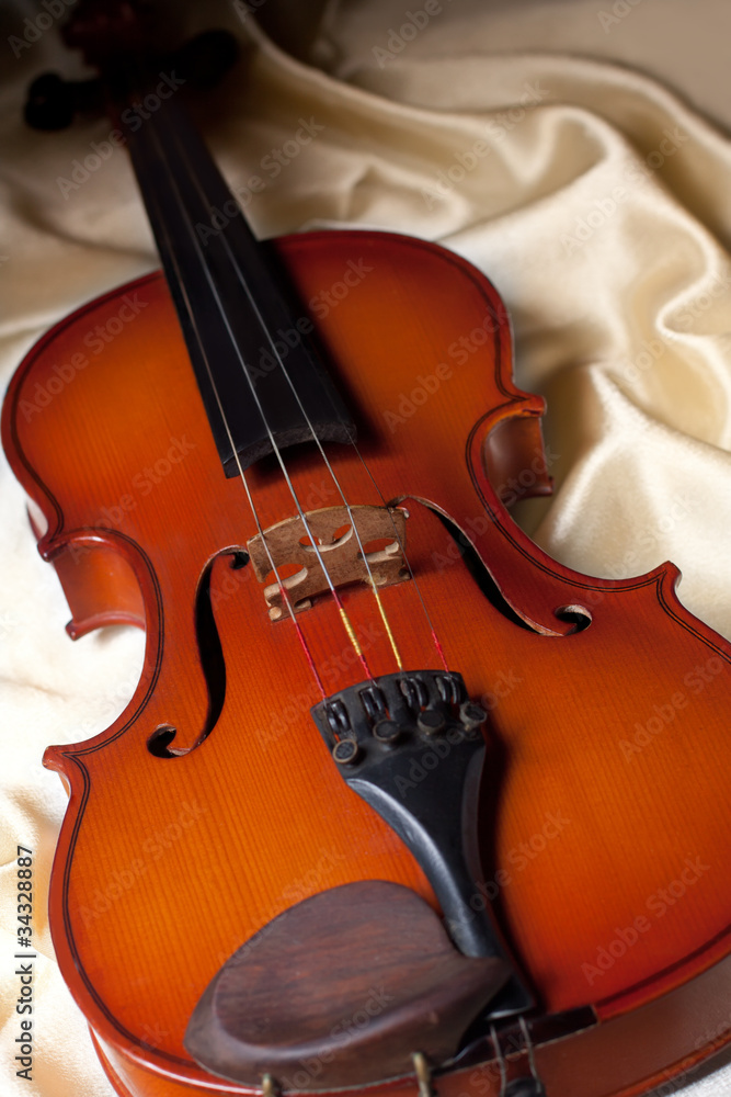 Violin