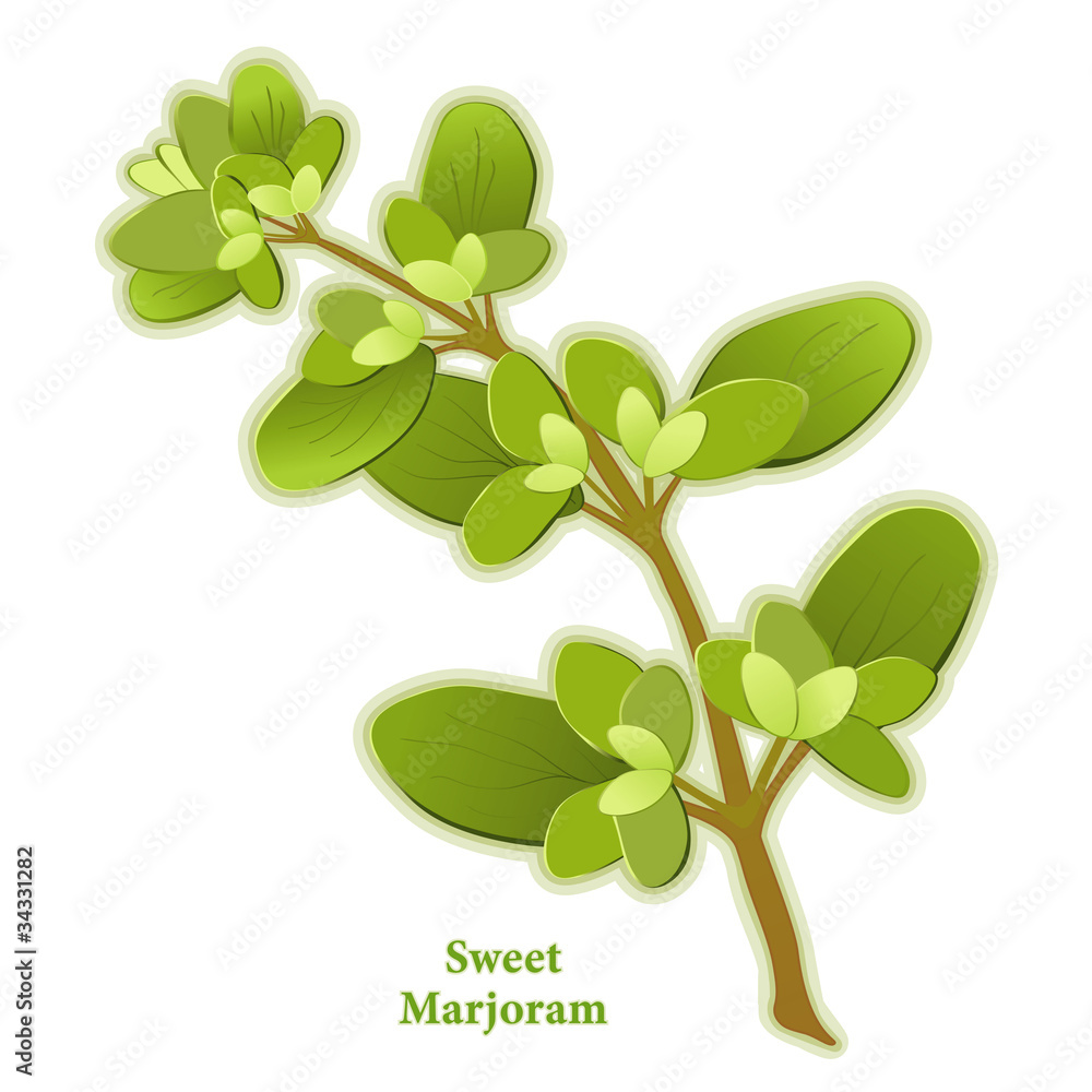 Sweet Marjoram Herb