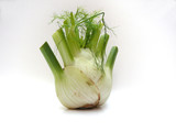 fenchel knolle
