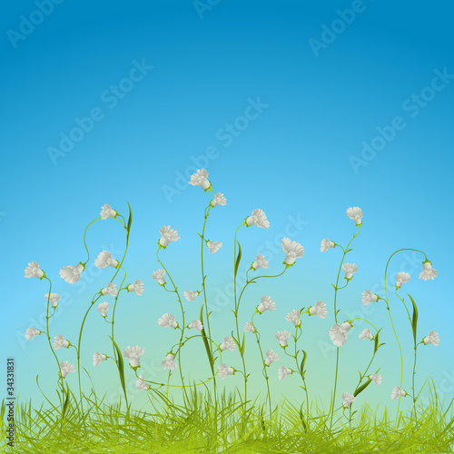 Floral composition