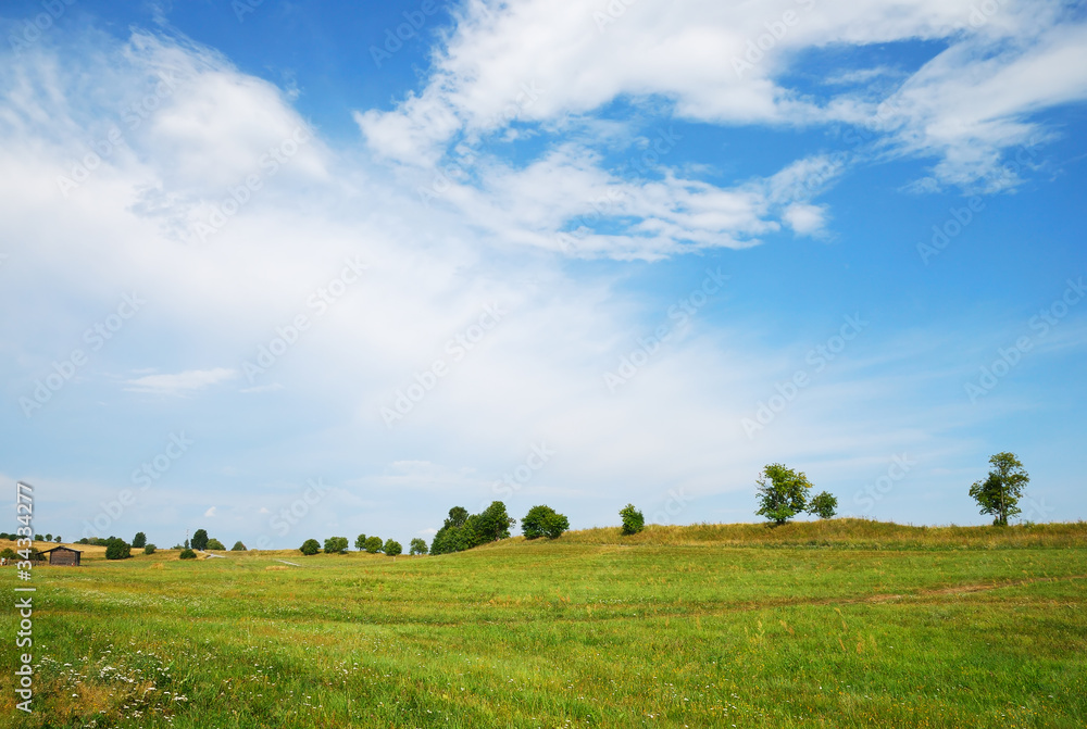 Green field and blue sky