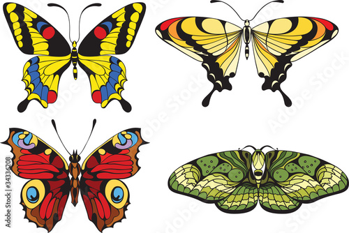 set of  butterflies