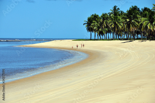 spiaggia di gunga in brasile photo