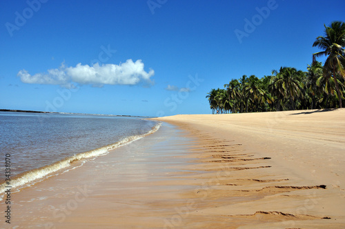 Fototapeta Naklejka Na Ścianę i Meble -  spiaggia di gunga in brasile