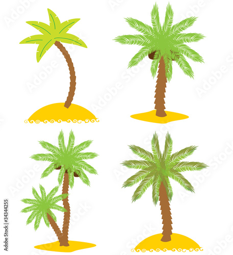 Set of various palm trees. Objects isolated