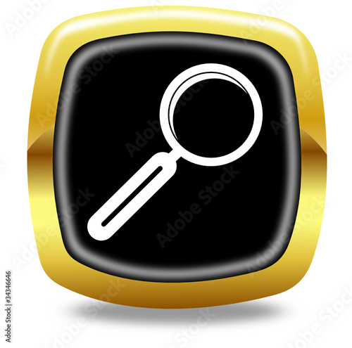 Search button