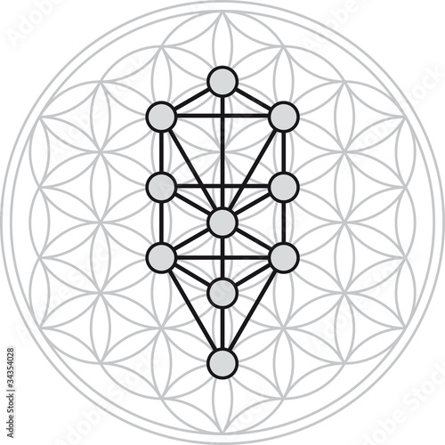 Ten Sephirots of Kabbalah fits in Flower of Life, a geometrical figure, composed of multiple evenly-spaced, overlapping circles forming a flower-like pattern. Illustration on white background. photo