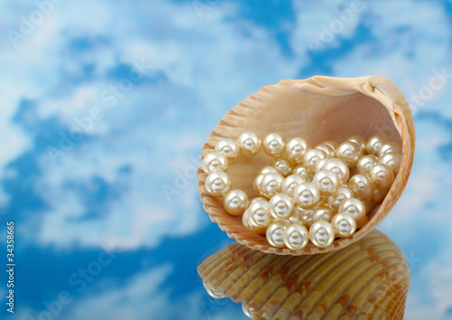 Elegant pearls over in shell with sky and reflection very shallo photo