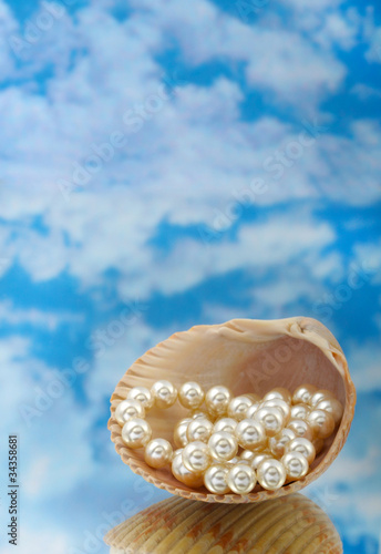 Elegant pearls over in shell with sky and reflection very shallo photo