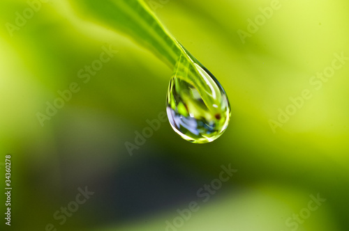 water drop