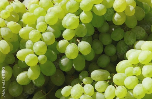 clusters of grapes