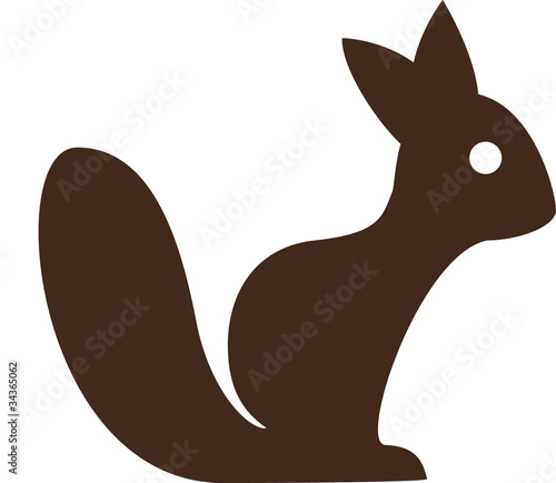Eichhörnchen