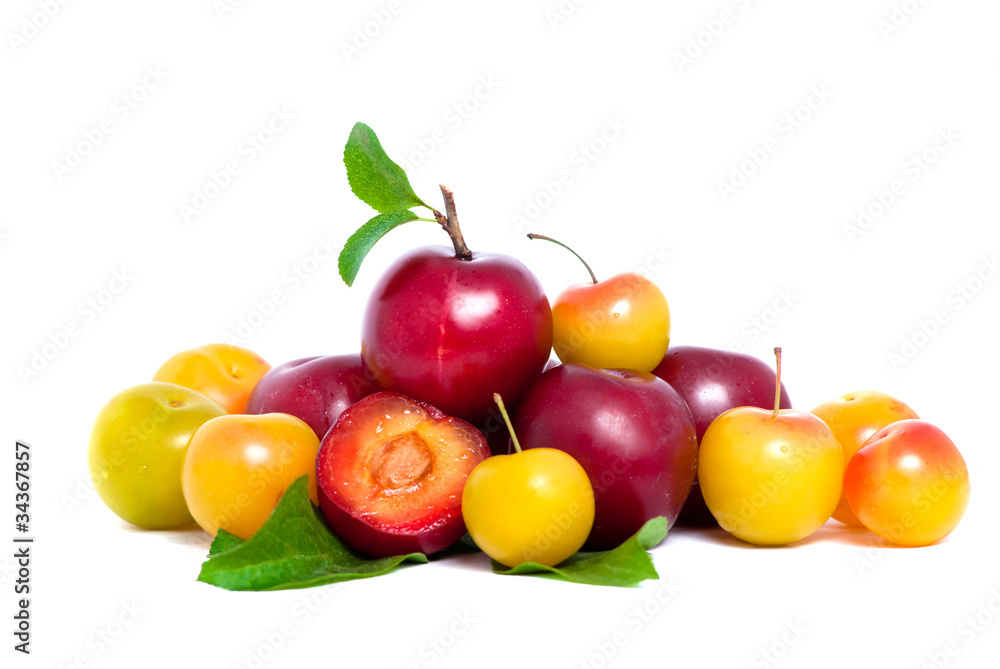 Pile of fresh red and yellow plums with leafs Pile of fresh red and yellow plums with leafs