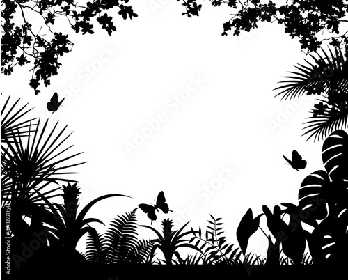 tropical forest silhouette