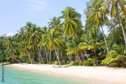 Coconut palm trees on the beach , Thailand