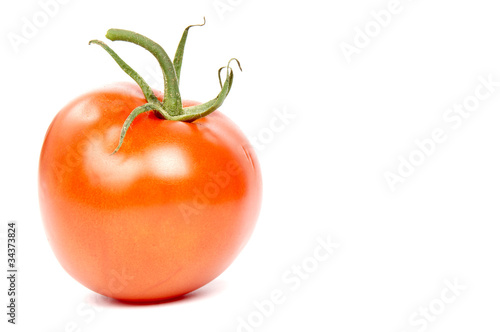 Wallpaper Mural Tomate Torontodigital.ca