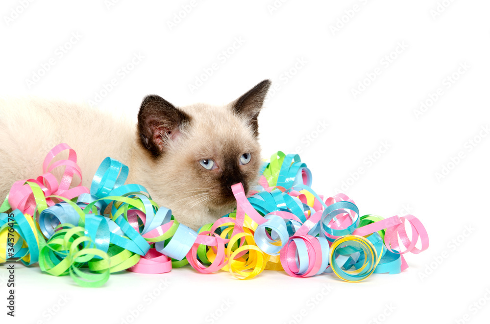 Cute kitten and colorful streamers