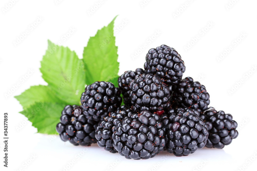 beautiful blackberries isolated on white beautiful blackberries isolated on white
