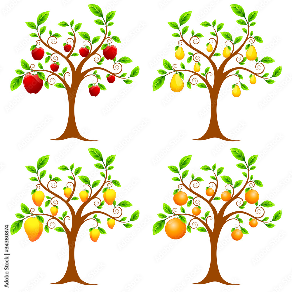 Obraz premium Fruit Tree