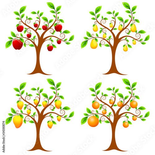 Fruit Tree
