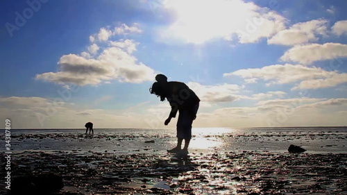 Frau sammelt Muscheln im Wattenmeer