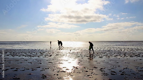 Familie wandert im Wattenmeer