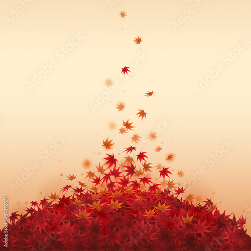 Autumn leaves falling