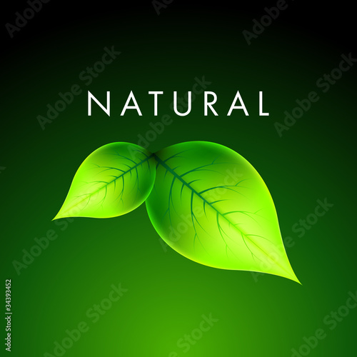 Vector Natural Design