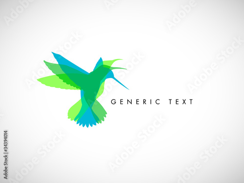 Vector Abstract Colibri Illustration