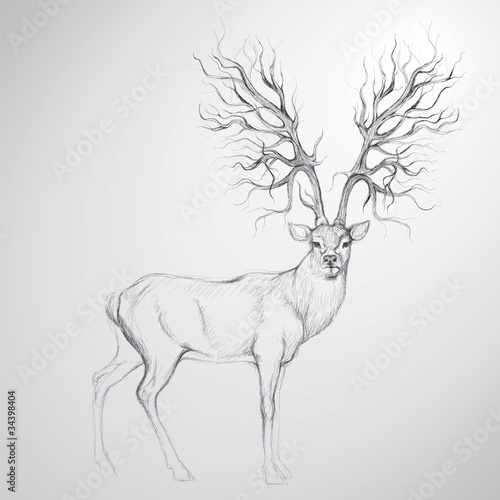 Deer with Antler like tree / Realistic sketch