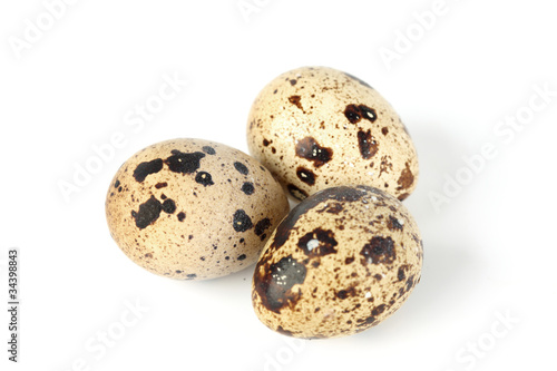 quail egg