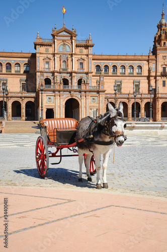 Sevilla - carruaje burro en Plaza España