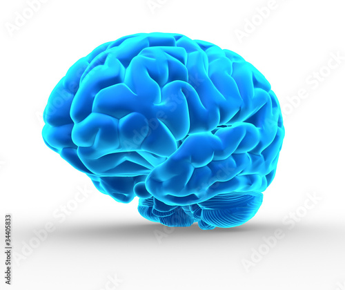 Blue brain